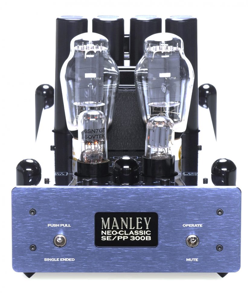 Neo-Classic SE/PP 300B Monoblocks