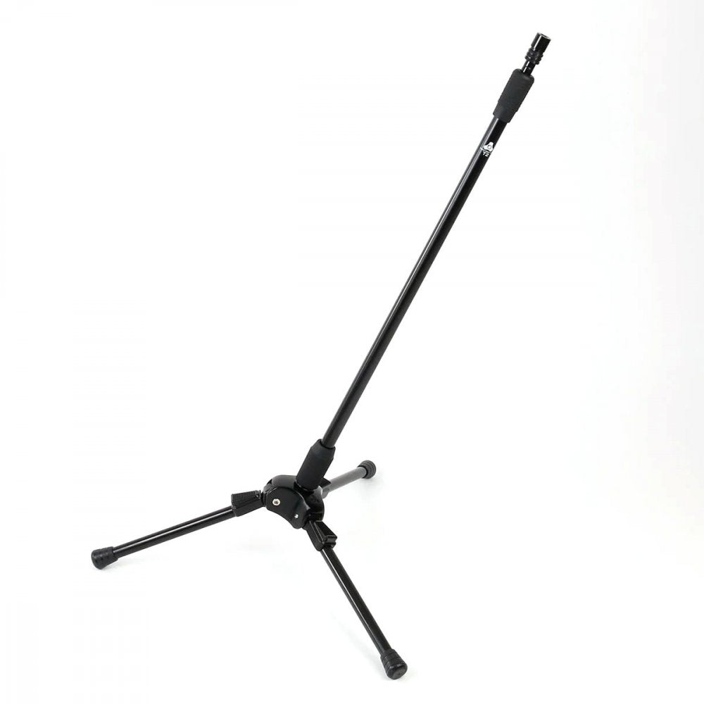 T2 - Angle