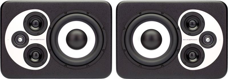 MicroMain 45 (paire)