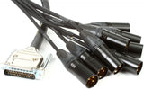 DB25 Gold - XLRM 30'