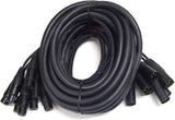 Gold 8 XLR - XLR 05'