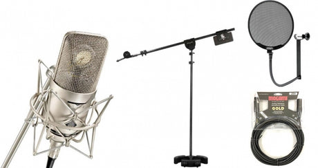 Neumann M 149 with Latch Lake 3300, Mogami Gold Studio 25' and Stedman Popscreen XL - Main