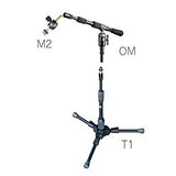 T1/OM/M2 - Angle