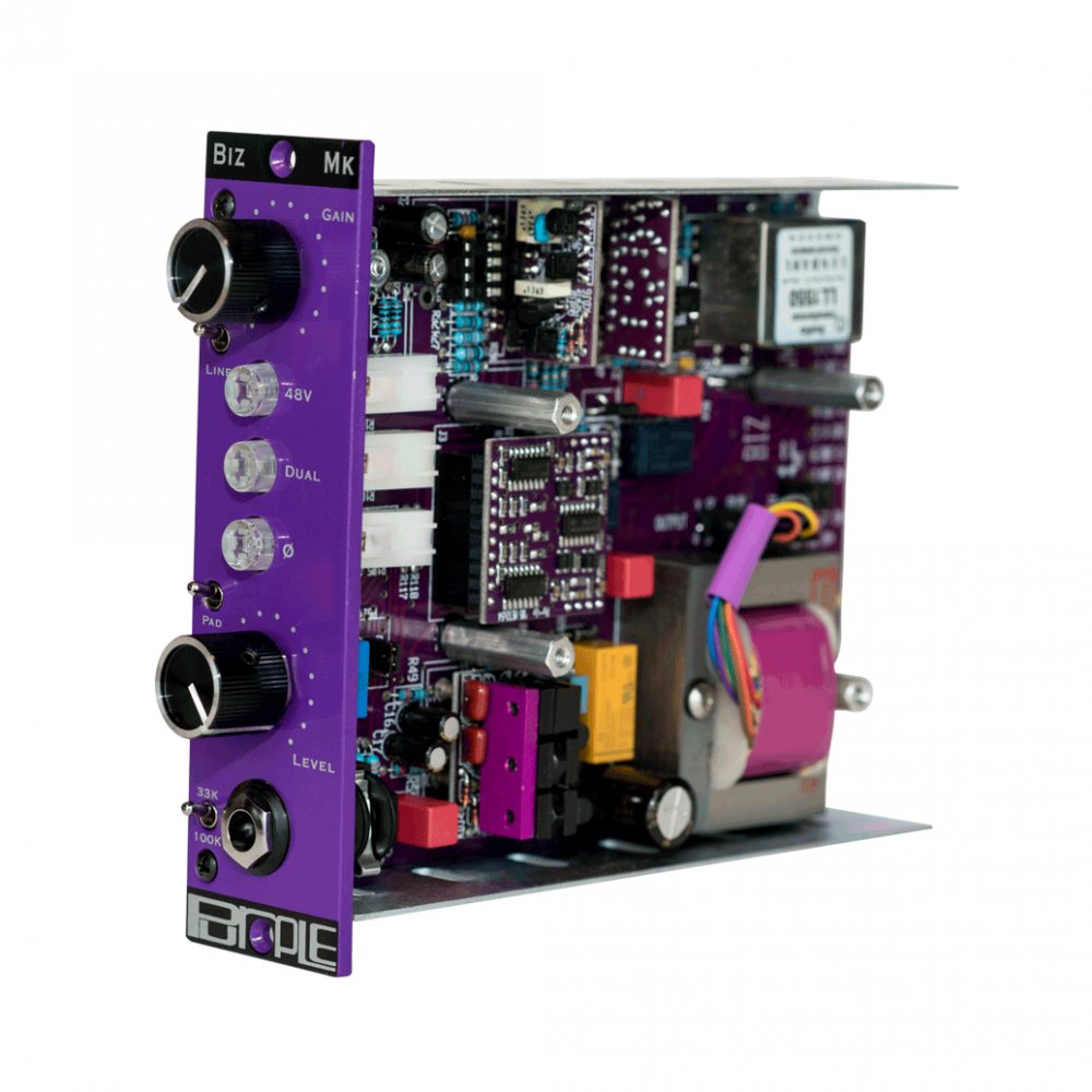 Biz Mk Mic Preamp - Angle